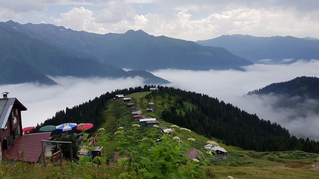 You are currently viewing Pokut Yaylası